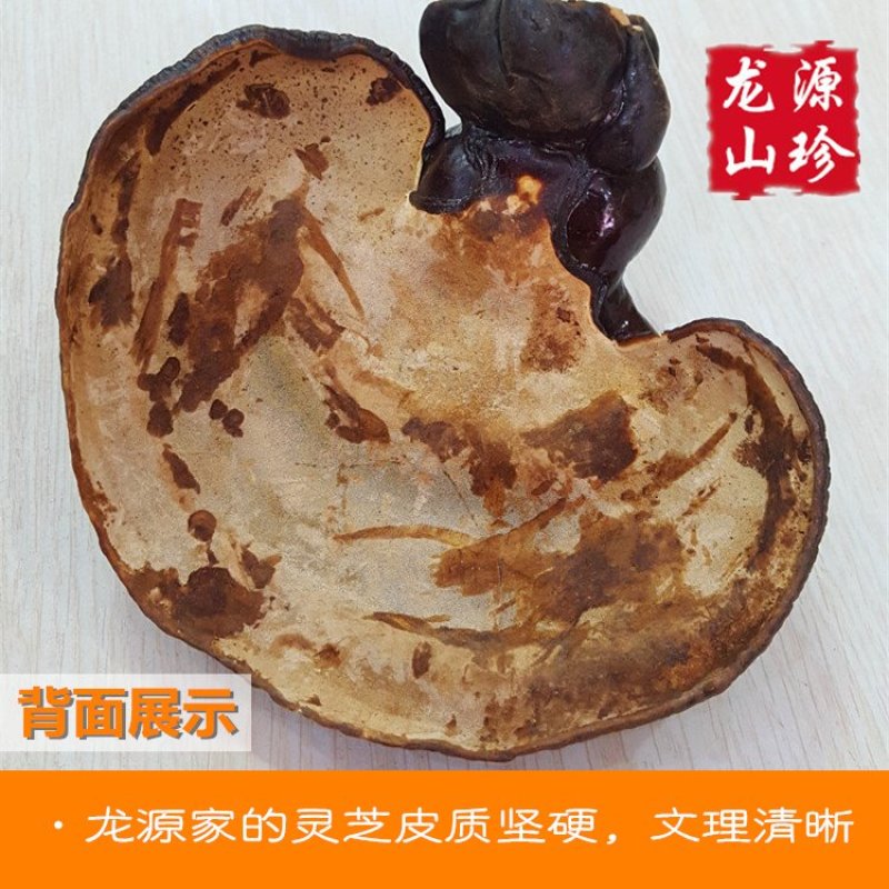 大兴安岭紫灵芝半野生灵芝产地直销500g