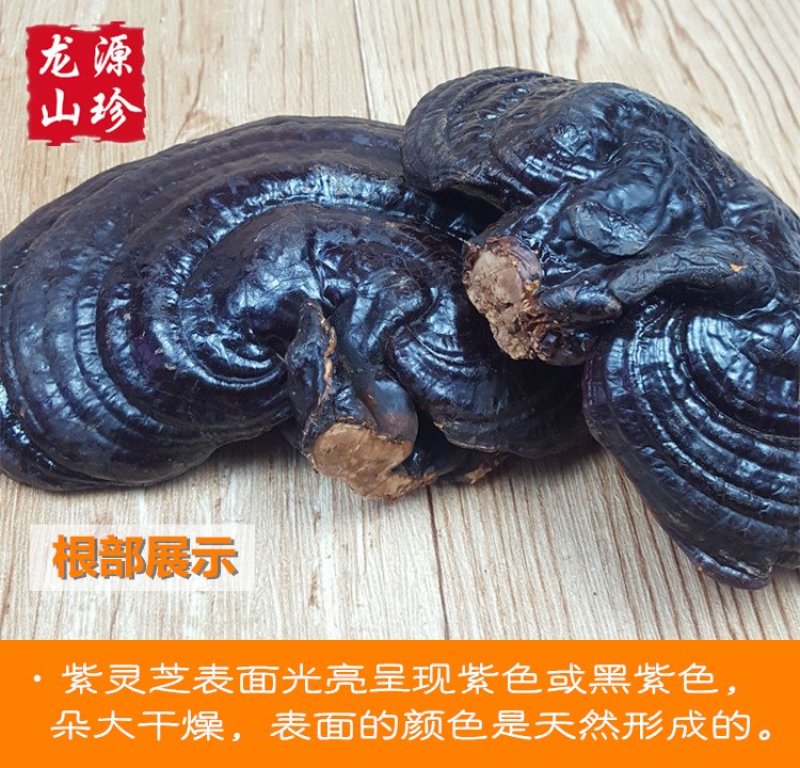 大兴安岭紫灵芝半野生灵芝产地直销500g
