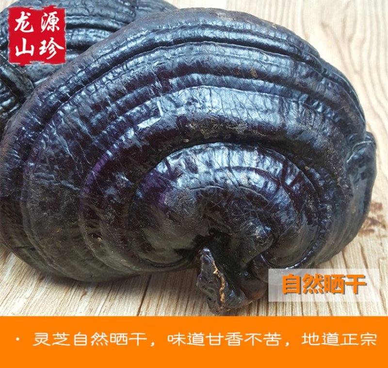 大兴安岭紫灵芝半野生灵芝产地直销500g