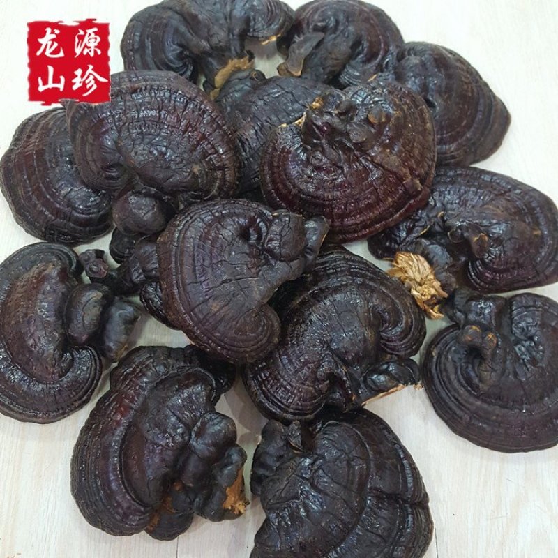 大兴安岭紫灵芝半野生灵芝产地直销500g