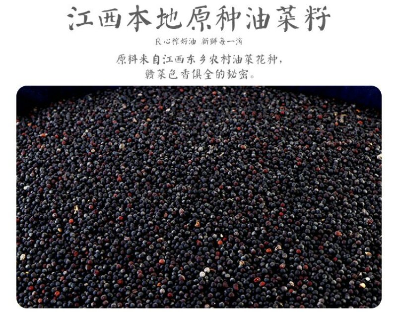 江西菜籽油农家自榨