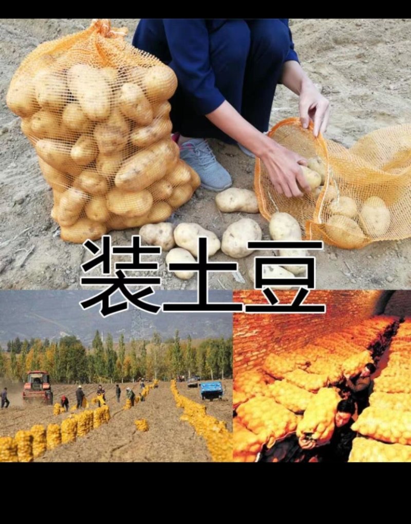 网眼袋包邮网袋子批发水果蔬菜网袋玉米洋葱土豆柚子红薯
