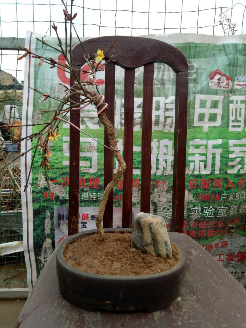 鹏锦世界