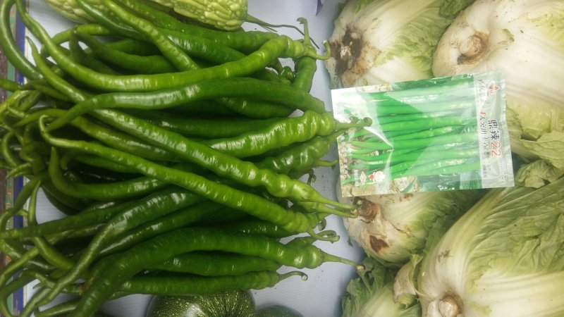 蔬菜种子大棚塑料膜地膜杀菌杀虫剂