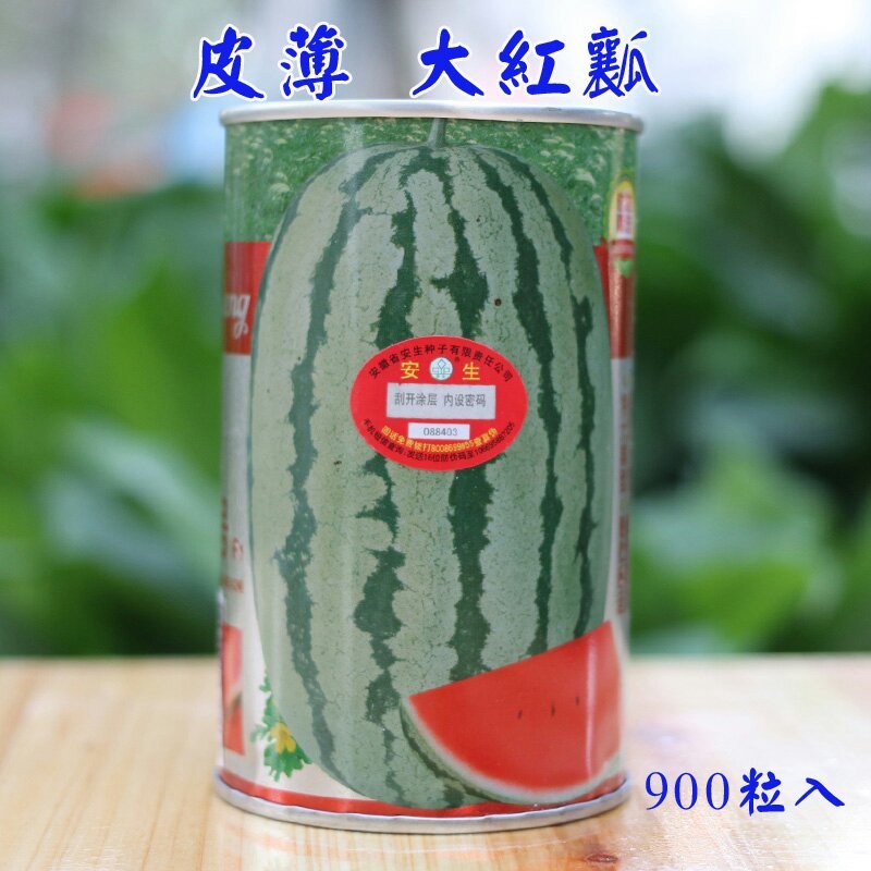 安生金彩6号特大硒砂瓜西瓜种子特耐旱抗重茬原装正品