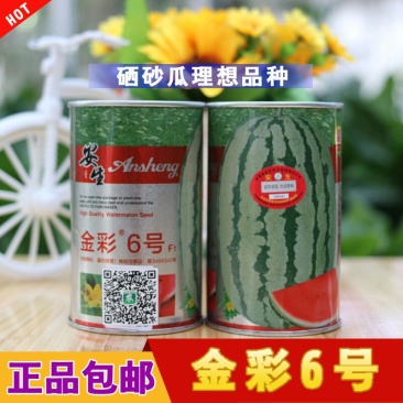 安生金彩6号特大硒砂瓜西瓜种子特耐旱抗重茬原装正品