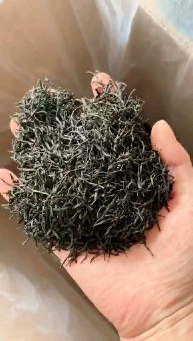 正山小种(500克)
