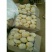 荷兰十五土豆v7等品种齐全货源充足保证质量