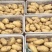 荷兰十五土豆v7等品种齐全货源充足保证质量
