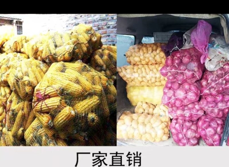 网眼袋包邮网袋子批发水果蔬菜网袋玉米洋葱土豆柚子红薯