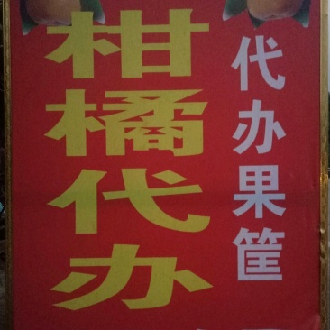 四川产地青见已经成熟，汁多，味甜，洗果，选果一条龙服务