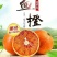 四川鲜塔罗科血橙，现在开始预订！价格优惠