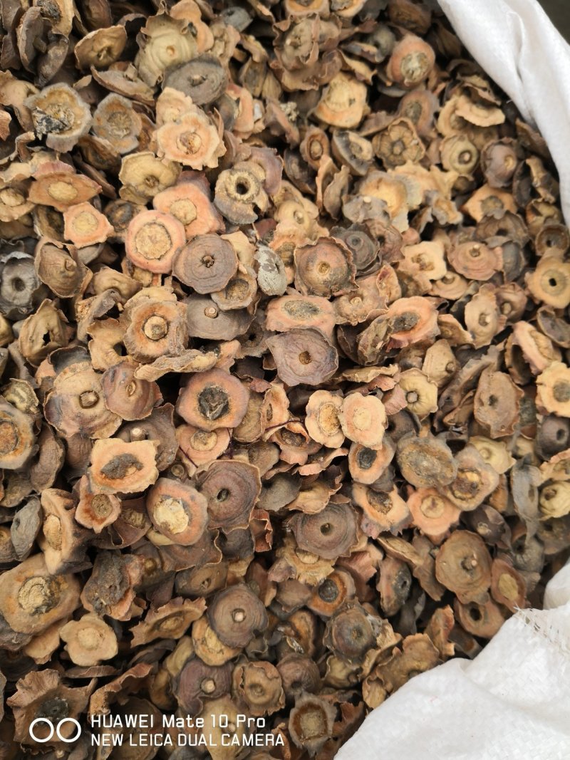 柿蒂干货老柿蒂够含量各种规格量大从优欢迎选购