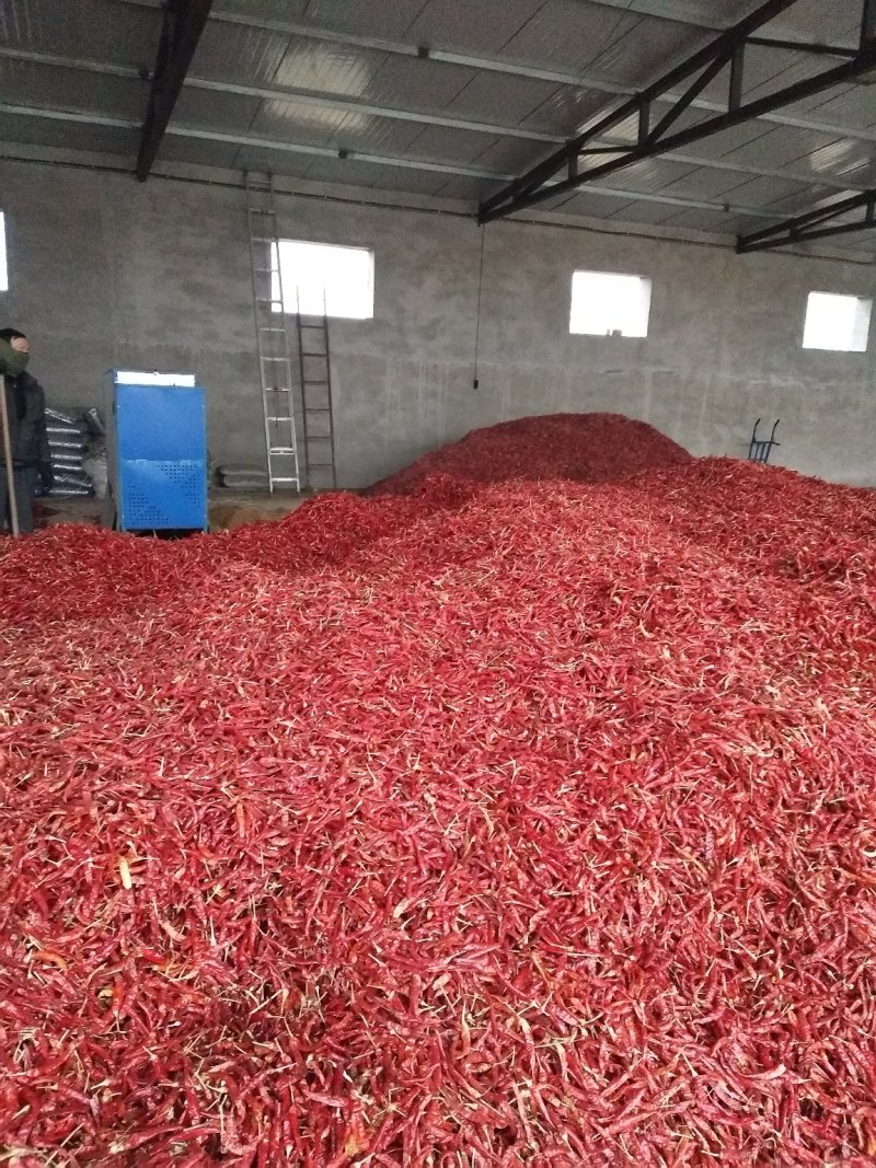 干辣椒