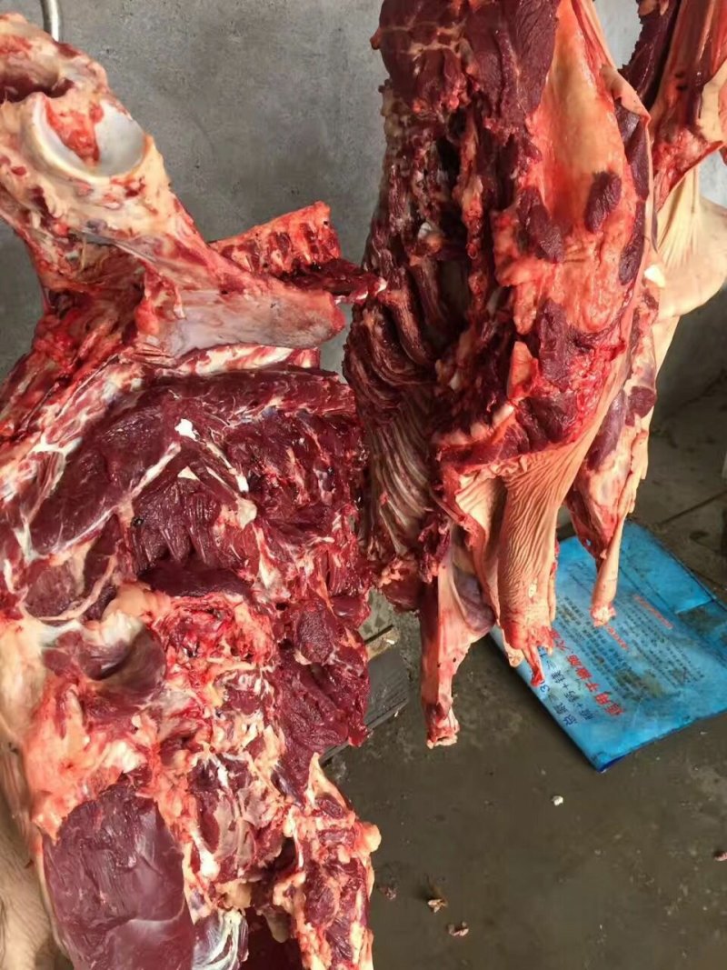 驴肉