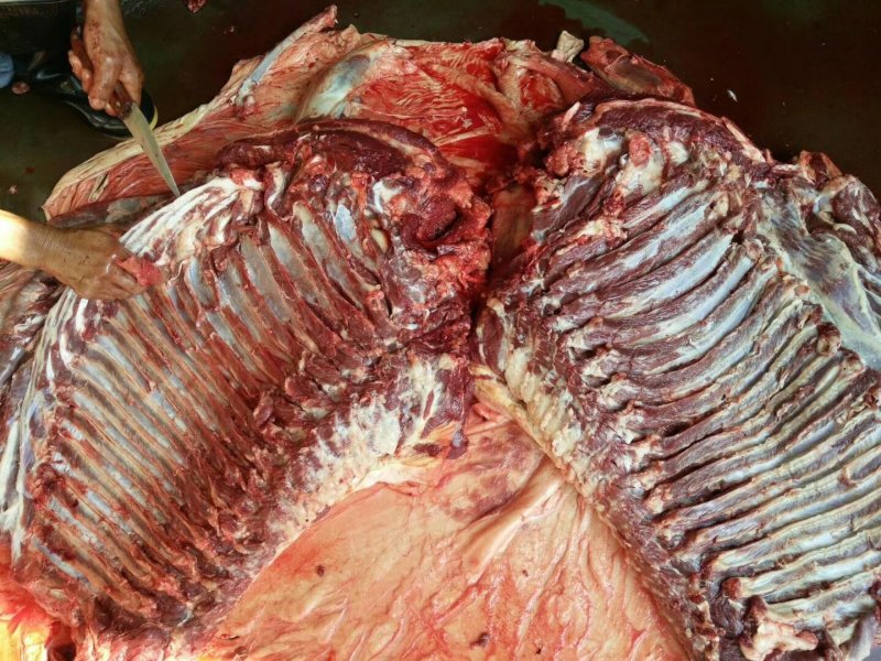 驴肉