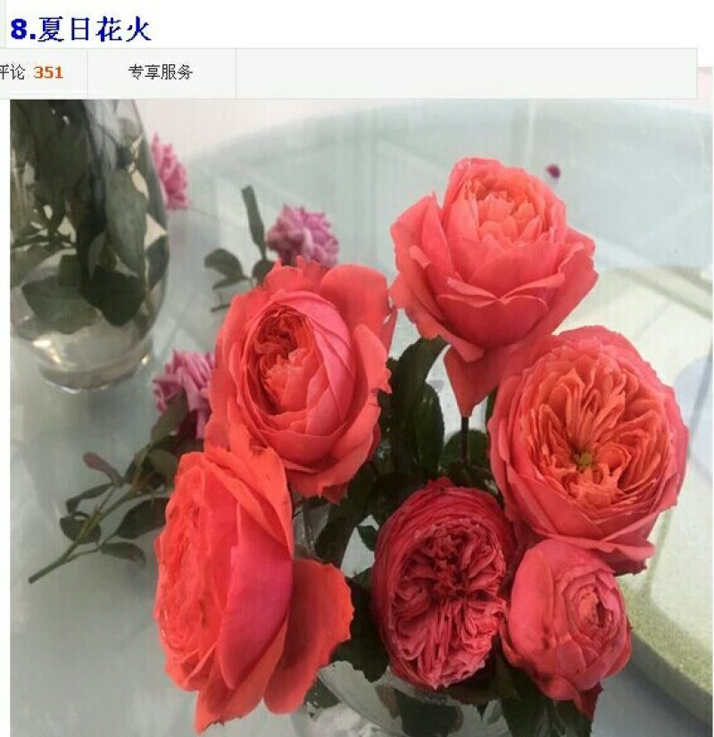 精品欧月