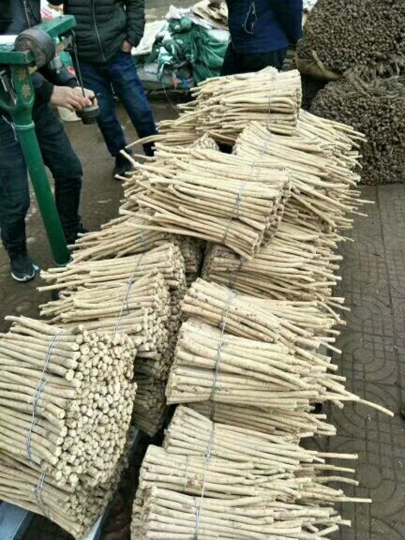 岷县无硫黄芪黄芪片黄芪条指甲片野生黄芪批发零售规格齐全