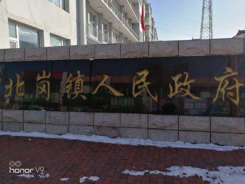 长白山天麻泡水煲汤泡酒切片打粉东北土特产