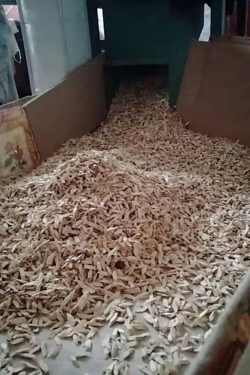 甘肃黄芪切片中药材正品无硫中药材产地直发（0.8-1）