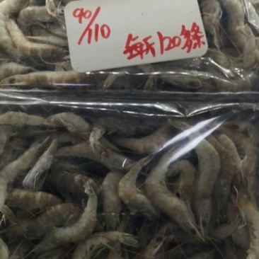 小青虾，小毛虾，15板10板