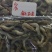 小青虾，小毛虾，15板10板