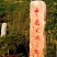 平阴食用玫四季玫瑰苗平阴基地供应营养钵苗16.18营养钵