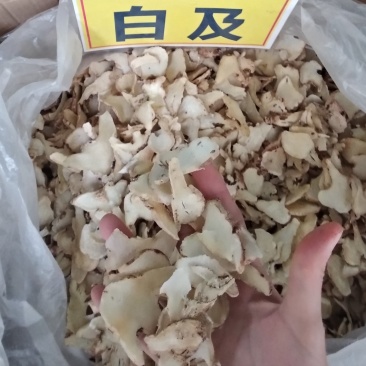 白芨