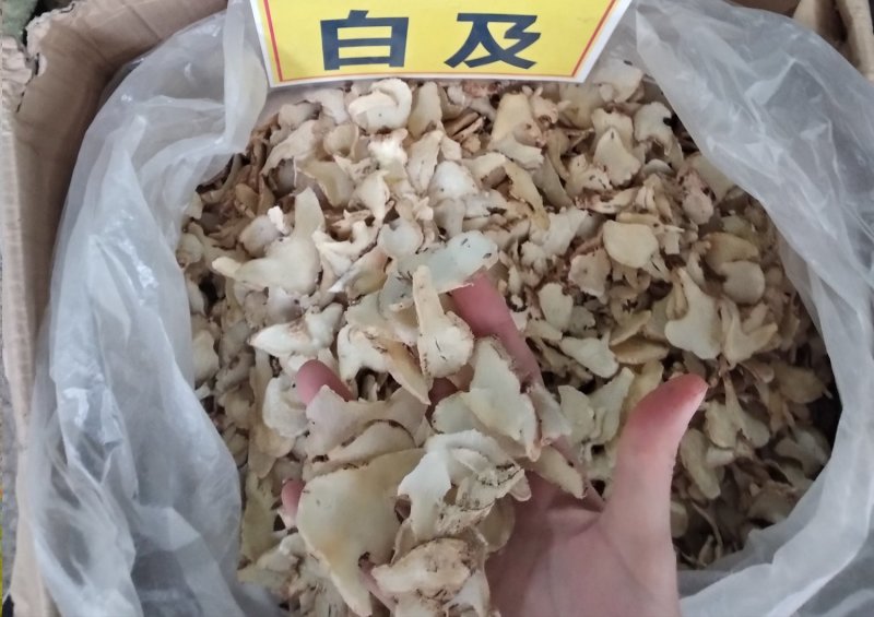 白芨