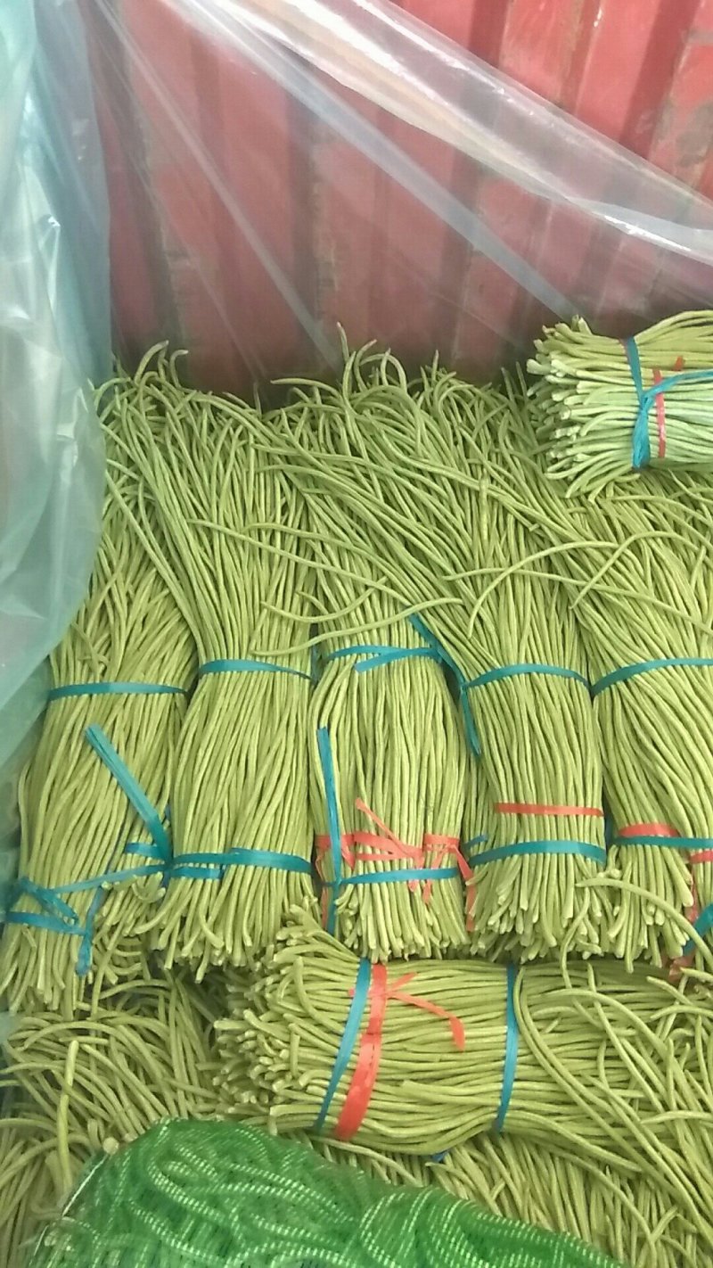 长豆角预售中，种植面积大，质量好