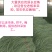 长豆角预售中，种植面积大，质量好
