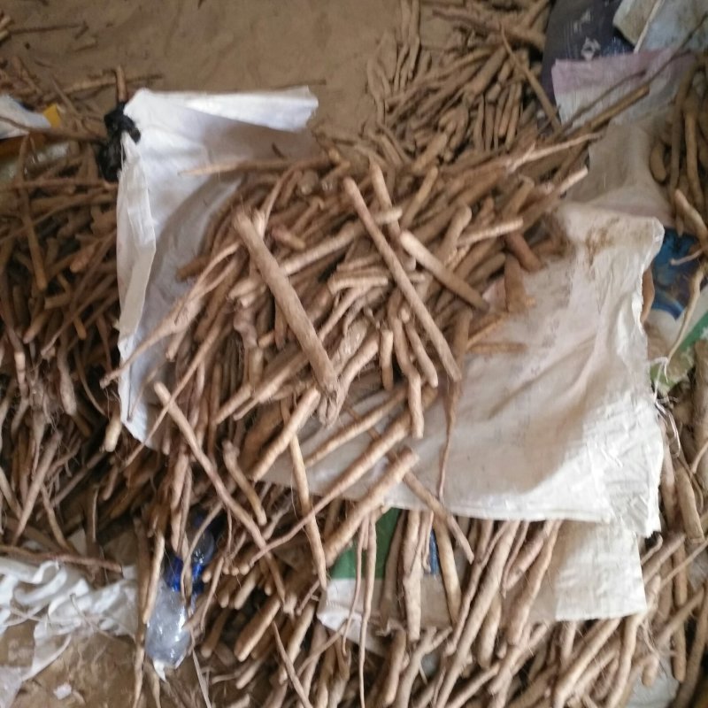 小白嘴白山药