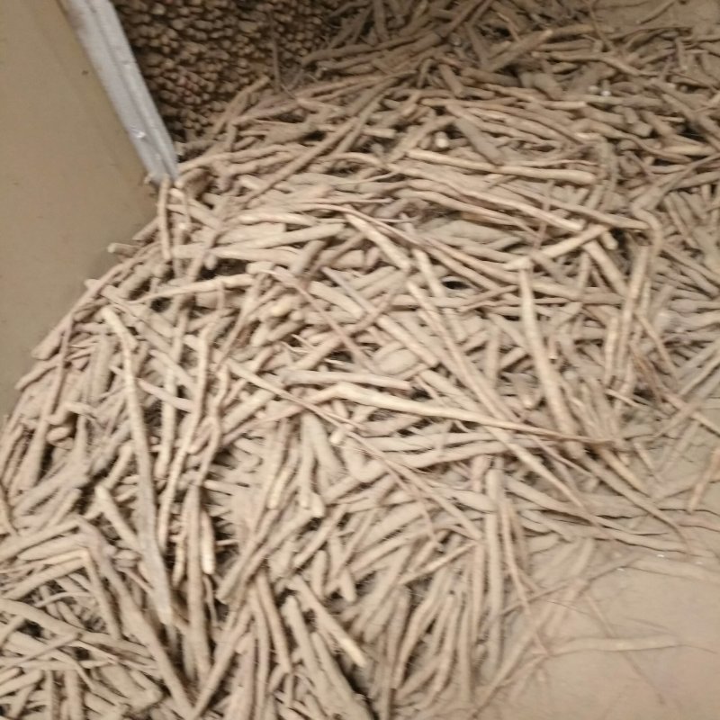 小白嘴白山药