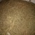 小白嘴白山药