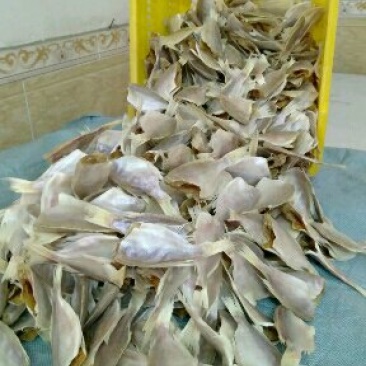 淡晒大眼鱼干
