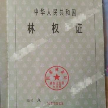 潍坊临朐县2230亩有林地560万转让