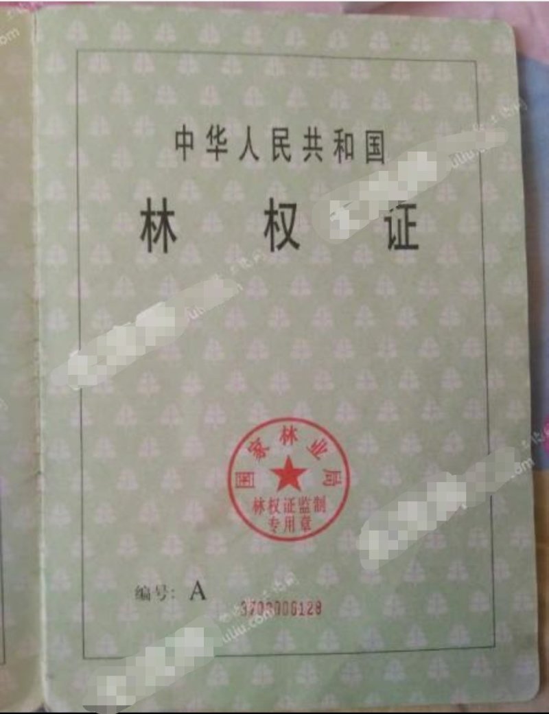 潍坊临朐县2230亩有林地560万转让