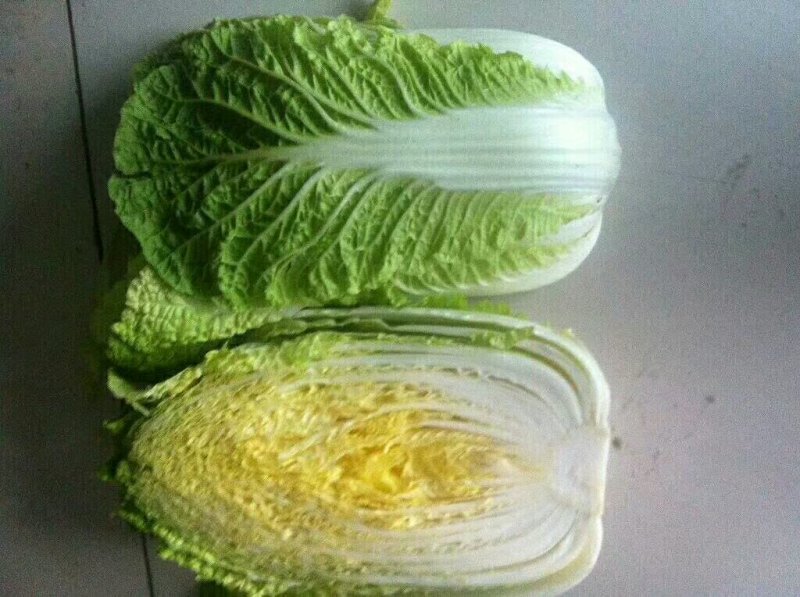 优质黄心大白菜大量上市质量好价格低