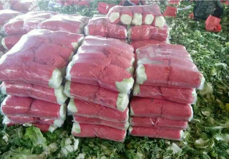 优质黄心大白菜大量上市质量好价格低