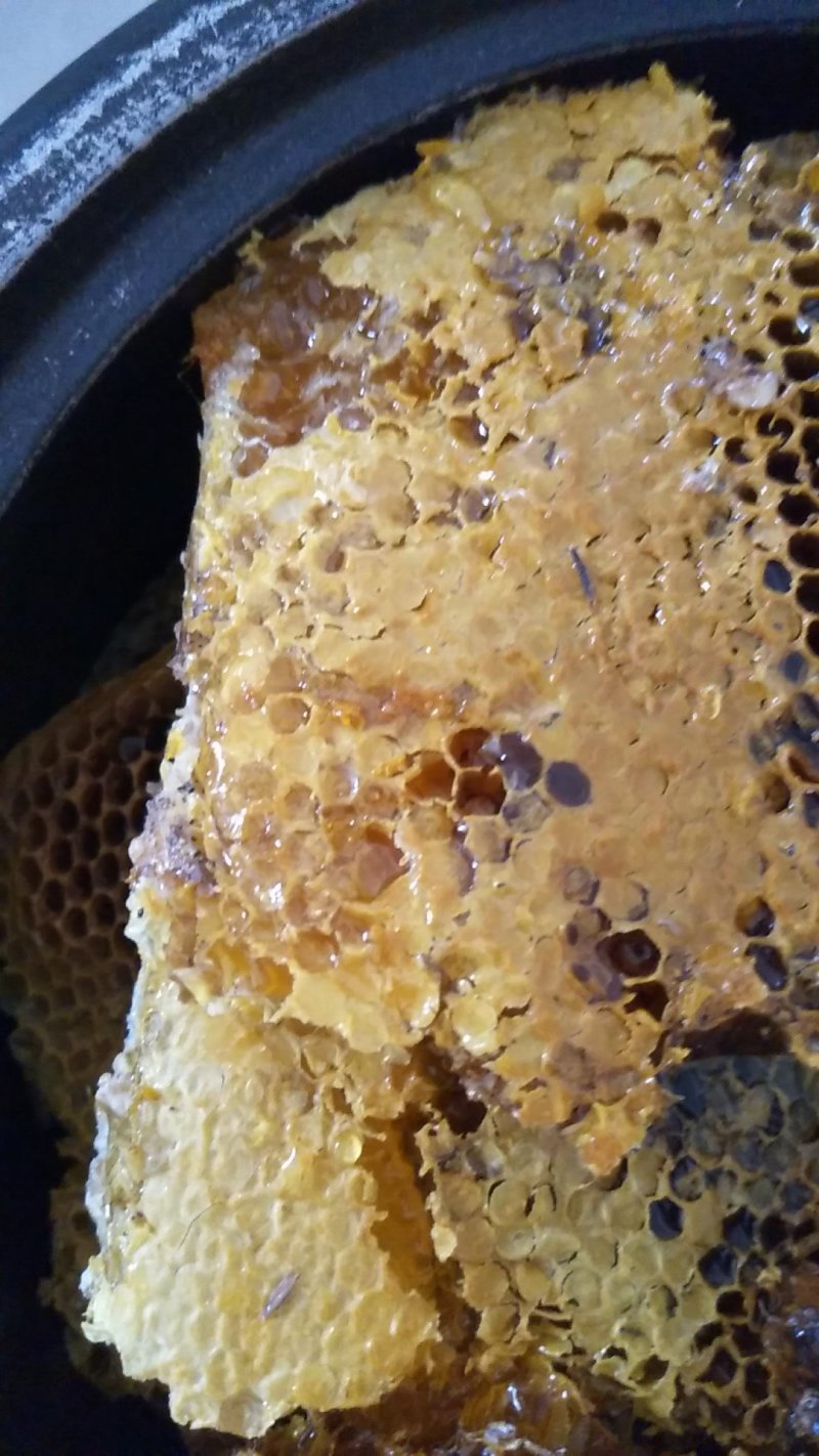 正宗土蜂糖