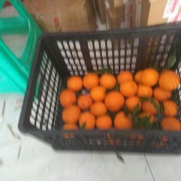 塑料筐