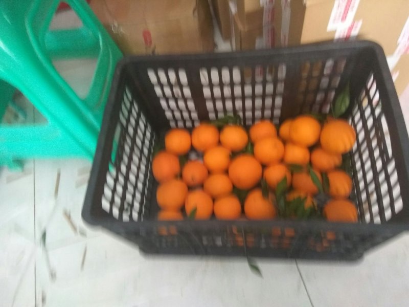 塑料筐