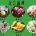 广玉兰