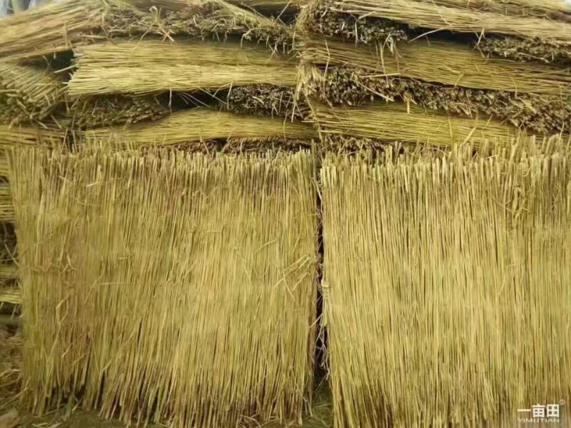 山东济宁喻屯供应各种规草帘