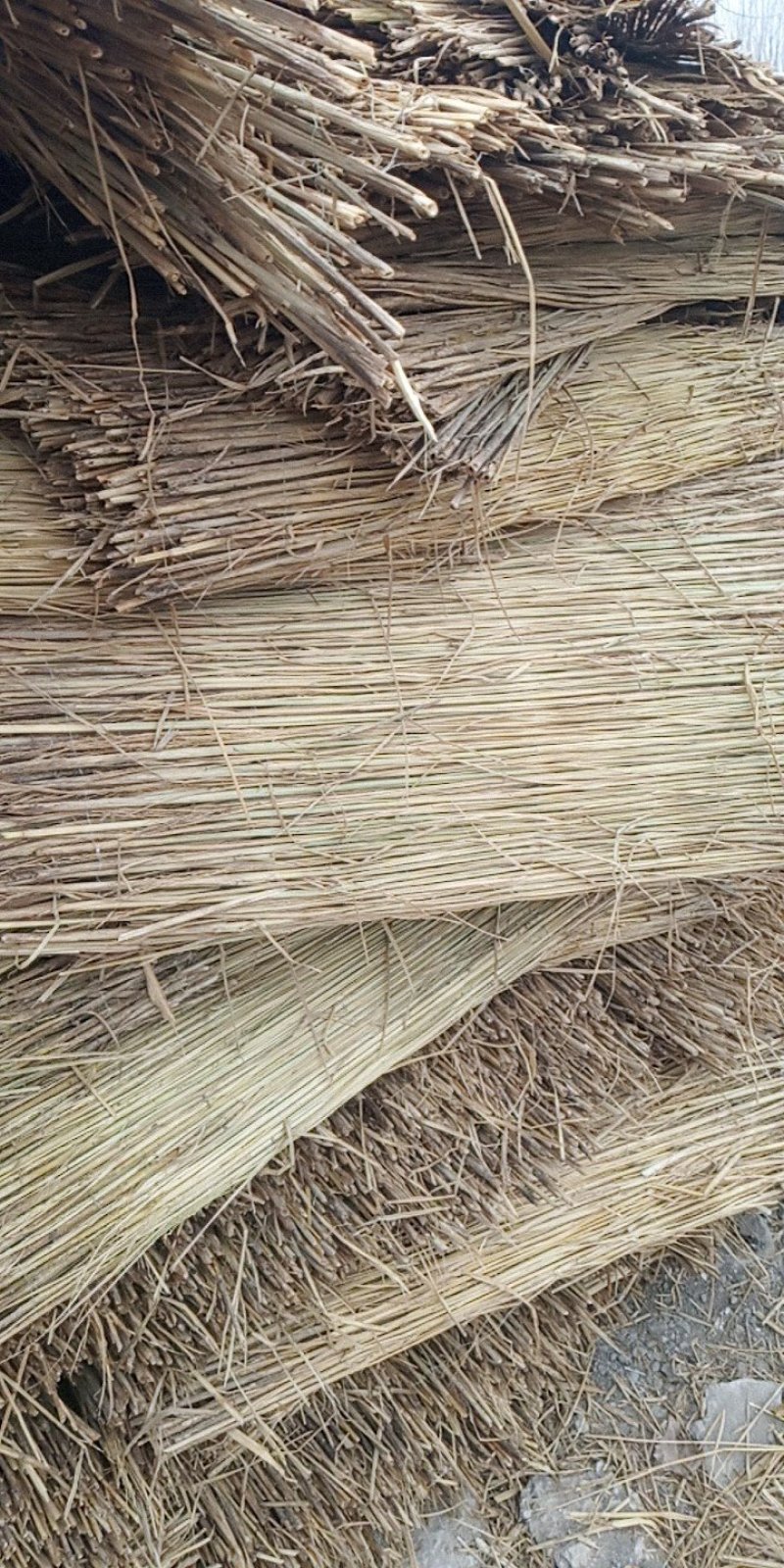 山东济宁喻屯供应各种规草帘