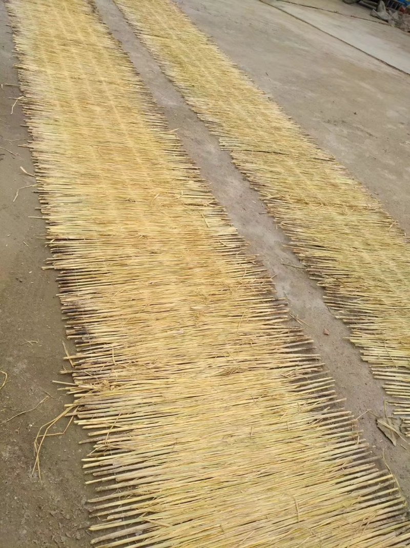 山东济宁喻屯供应各种规草帘