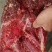 驴肉到货