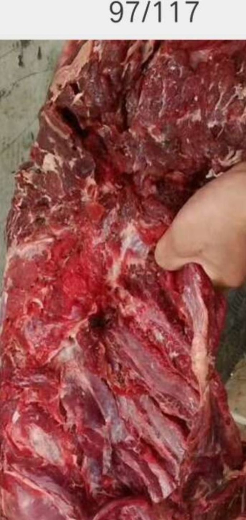 驴肉到货