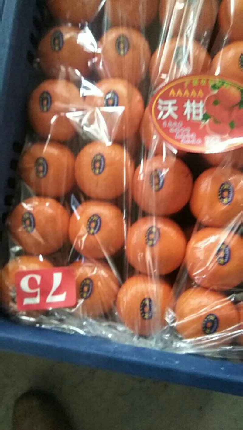 大量供应沃柑1.2至3块