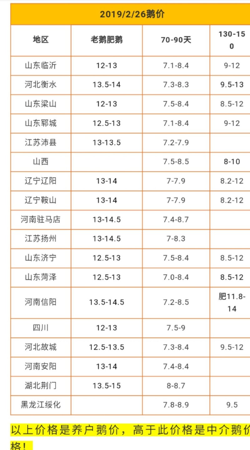 三花鹅苗脱温鹅苗20天左右的鹅苗供应